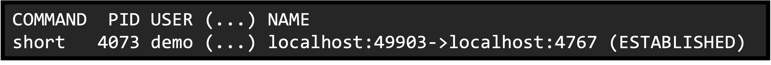 Parse lsof, short binary, step 1