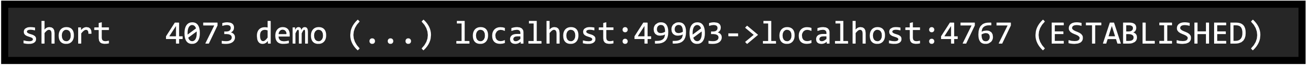 Parse lsof, short binary, step 2
