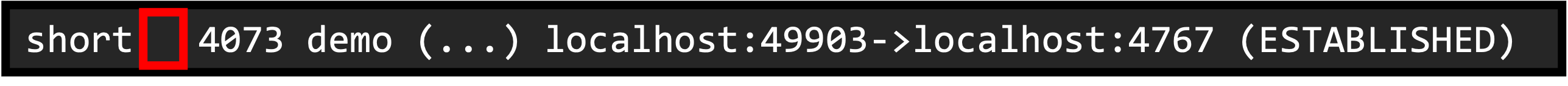 Parse lsof, short binary, step 3